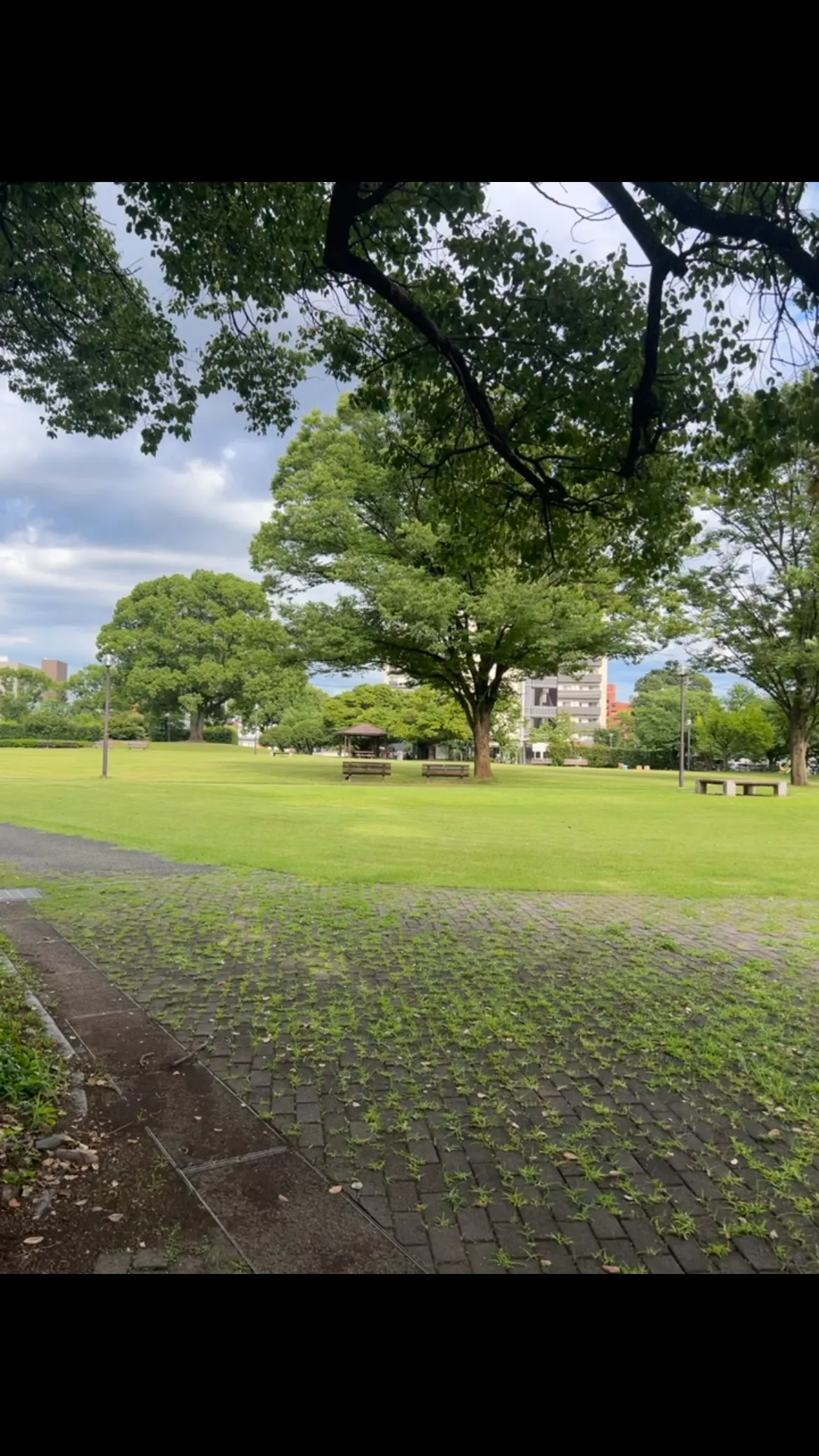 よく通る場所